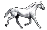 horsewh2 Смычки