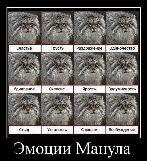 smile12 Улыбнись ЕЩЁ :)