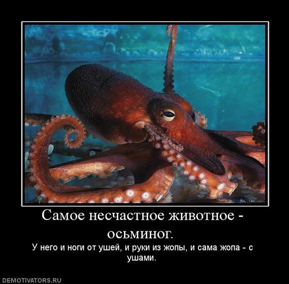 smile13 Улыбнись ЕЩЁ :)