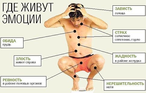 где живут эмоции? где живут эмоции?