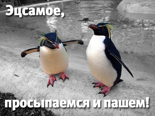 просыпаемся и пашем просыпаемся и пашем